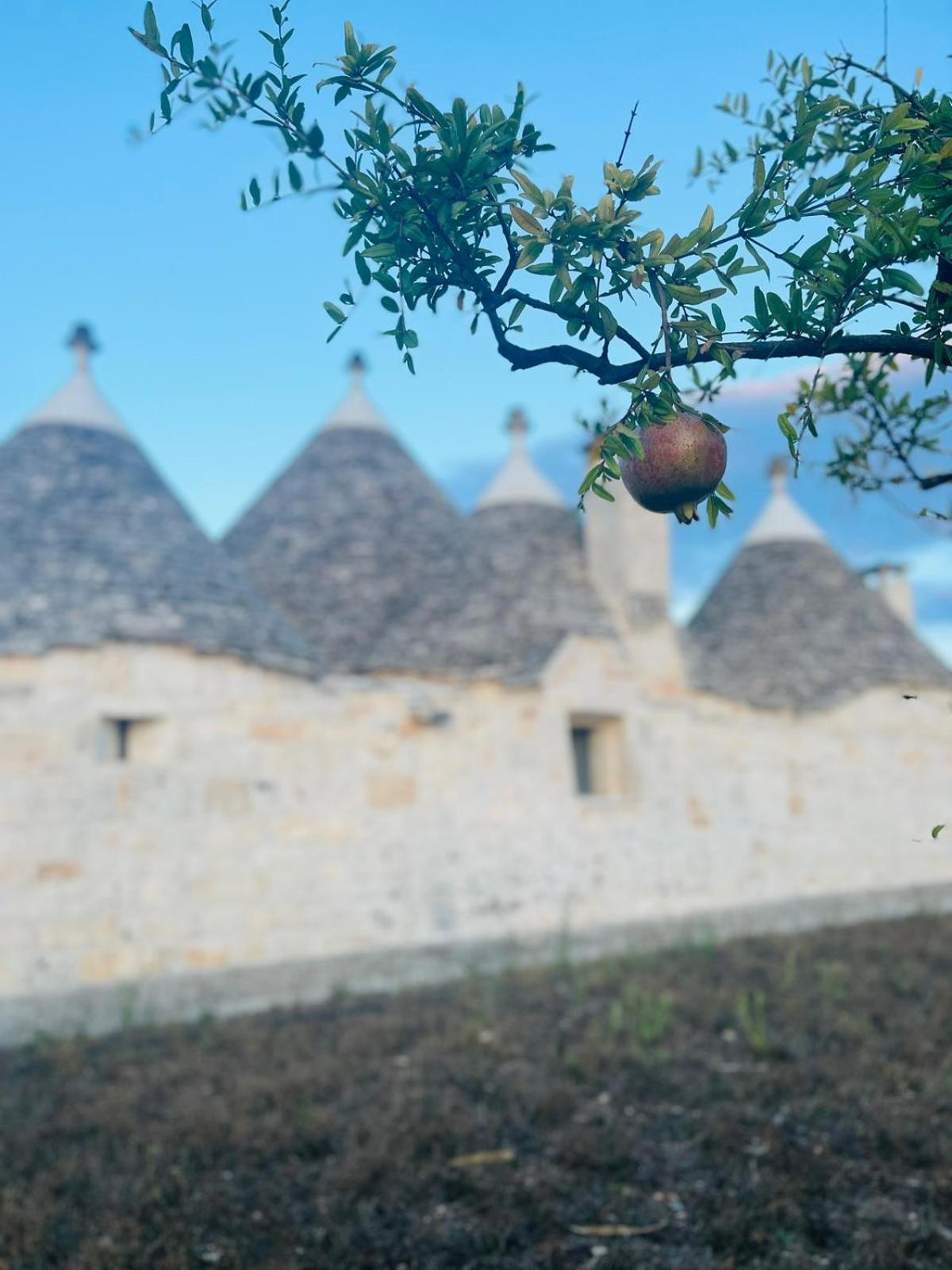 Hotel Scardino Trulli à Locorotondo Extérieur photo